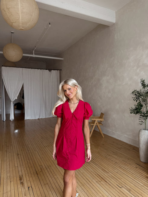 Coco Claus Dress